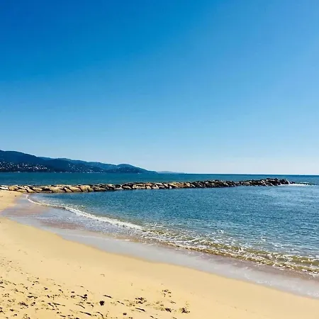 2 Pieces, Terrasse, Proche Et Centre, - Fr-1-251-345 Apartment Le Lavandou