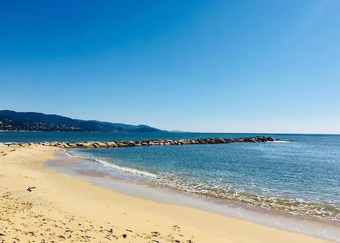 2 Pieces, Terrasse, Proche Et Centre, - Fr-1-251-345 Lägenhet Le Lavandou